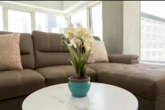 Apartment Beautiful 3 Bedroom High Rise With Pool, Hot Tub And Rooftop Views *